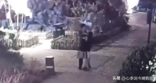 奎屯吃瓜事件视频,一场网络热议背后的真相揭秘