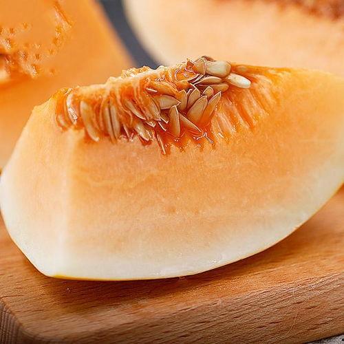 黄金蜜瓜咋吃,尽享夏日清新美味
