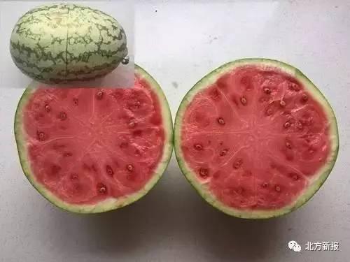 吃瓜中心图片,一场视觉盛宴的幕后故事