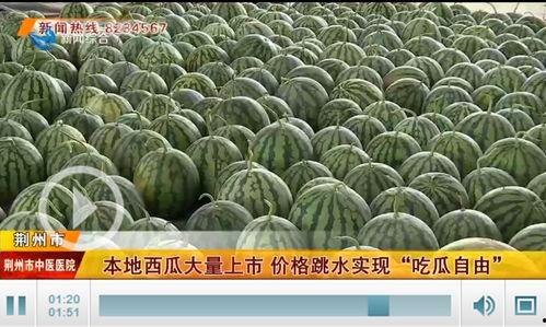 荆州吃瓜,吃瓜群众的欢乐盛宴