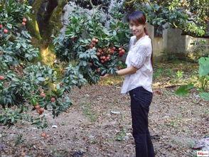 lin琳琳吃瓜,瓜田里的美食探索之旅