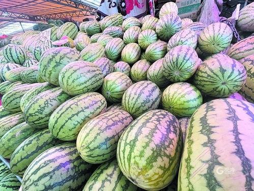 青岛吃的瓜,瓜果飘香，味蕾盛宴