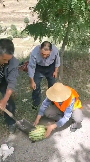 吃瓜铁锹方头,揭秘新型农具的创新与魅力