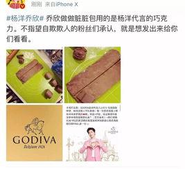 关于吃瓜系统的图书,一本揭示美食奥秘的图书概览