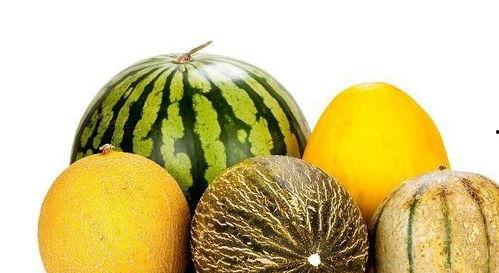 总喜欢吃瓜,揭秘总喜欢吃瓜的趣味人生