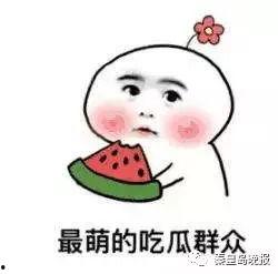 吃瓜不迷鹿,网络热词背后的文化现象