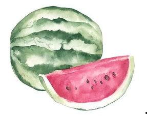 不同岗位吃瓜,揭秘不同岗位的职场八卦风云