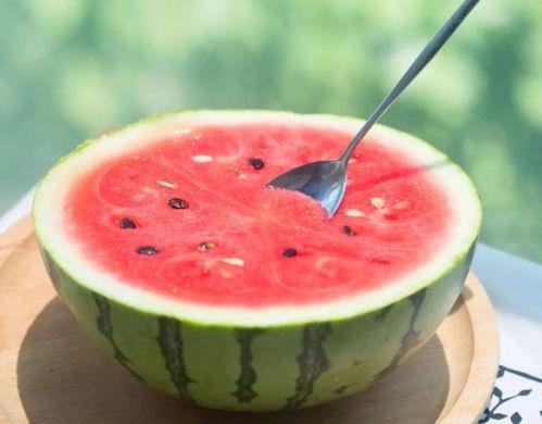 比西瓜还吃瓜,西瓜界的“吃瓜群众”