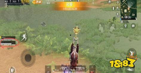 吃瓜直播和平精英