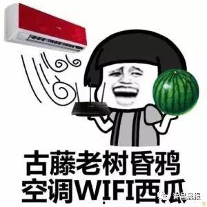 许昌今日吃瓜,吃瓜群众聚焦热点事件