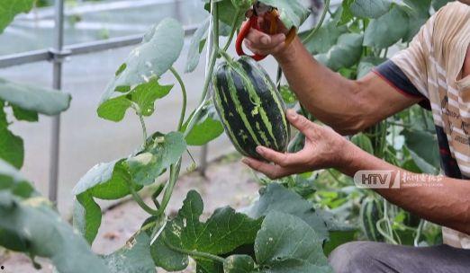 秋天吃瓜群众,跟随吃瓜群众探寻秋季美食之旅