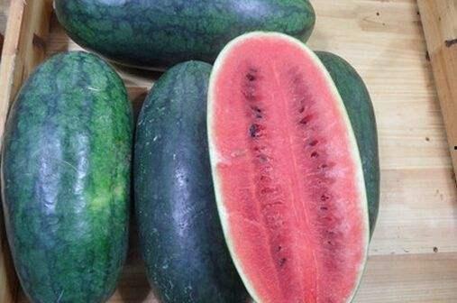 问政山东威海吃瓜,吃瓜群众热议民生话题