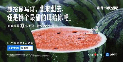 夏日吃瓜文案推荐,瓜果飘香——尽享清凉美味之旅