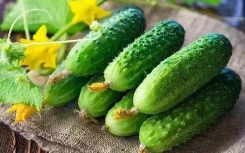 夏天吃一瓜,一瓜解千愁