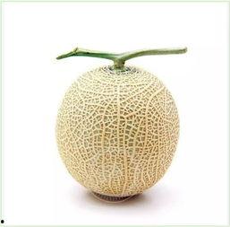 定制吃瓜,解锁夏日消暑新潮流