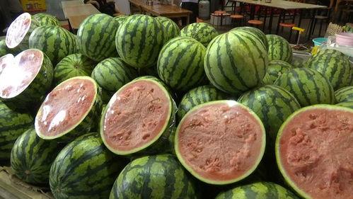 0元吃瓜,揭秘网络红利的秘密世界