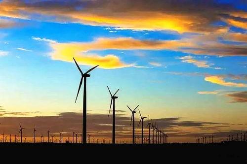 瓜州吃瓜在哪里,探寻瓜乡美食之旅