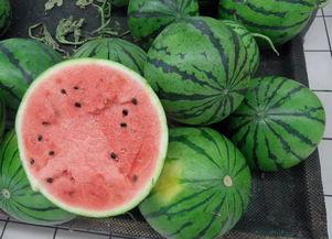 伏吃那三瓜,清凉一夏养生记