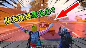 财阀吃瓜小队,揭秘“吃瓜小队”如何洞察财阀内幕