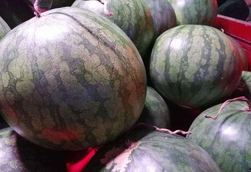 吃瓜特效怎么拍,轻松捕捉趣味瞬间